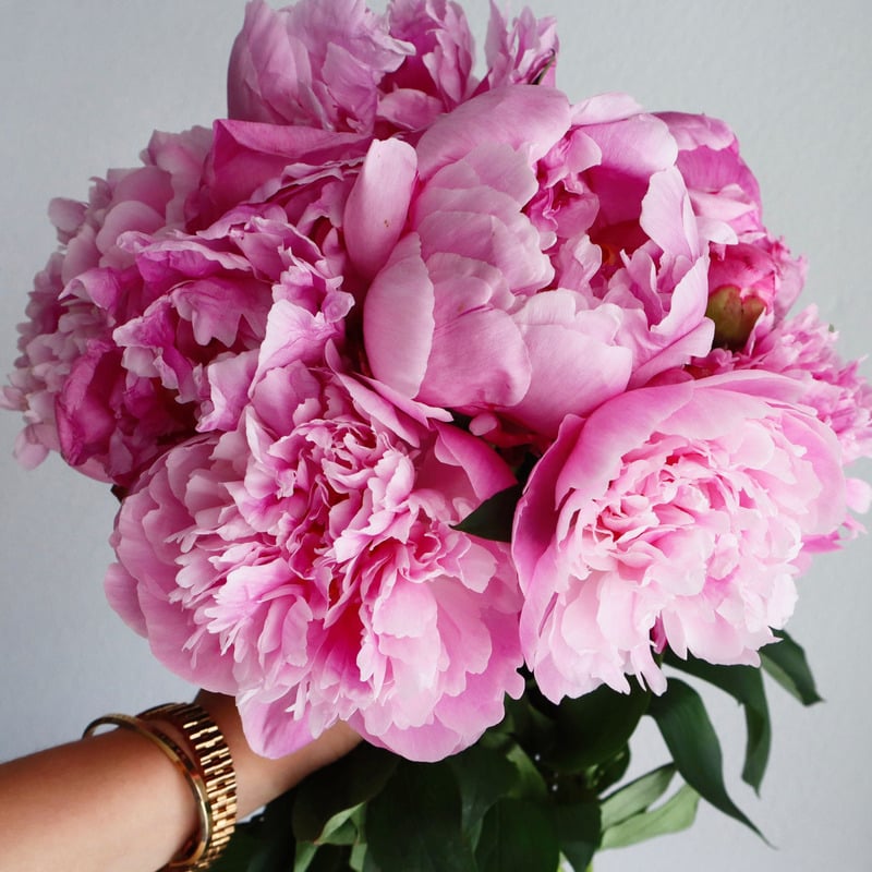 Flower-Hand