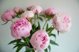 Flower-Vase